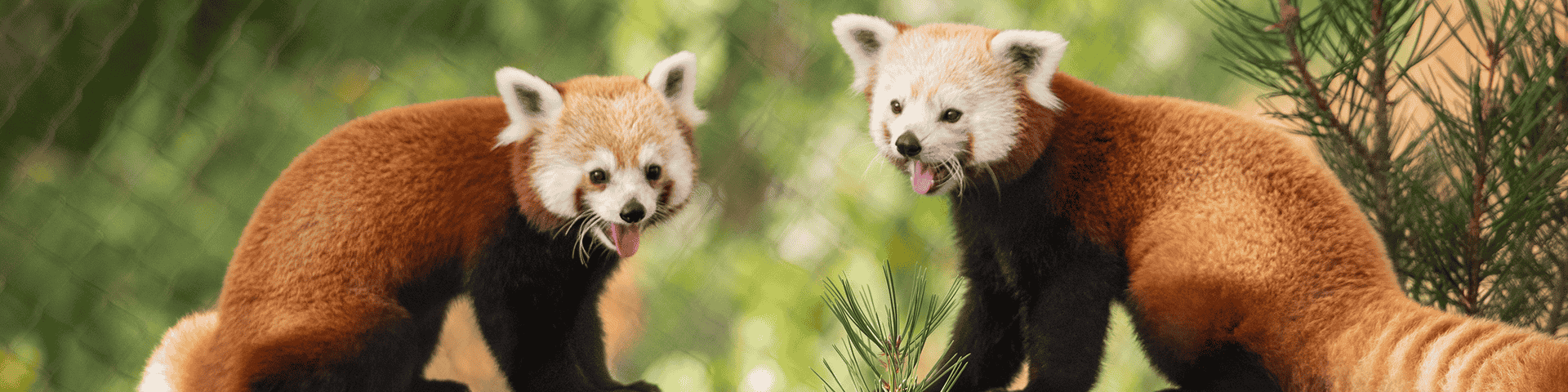 Cleveland Metroparks Zoo in Cleveland